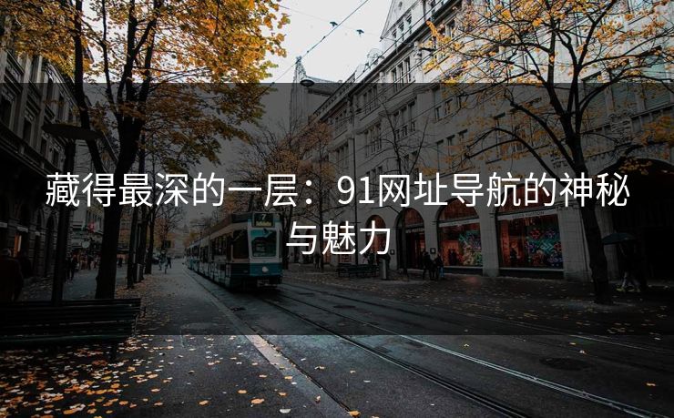藏得最深的一层：91网址导航的神秘与魅力