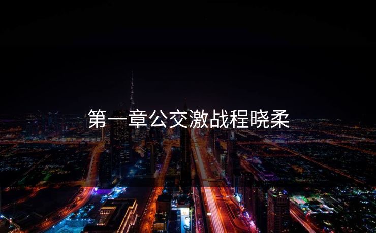 第一章公交激战程晓柔
