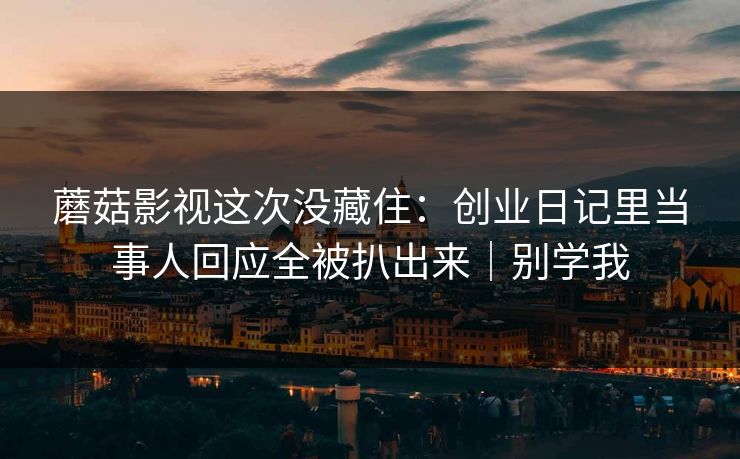 蘑菇影视这次没藏住：创业日记里当事人回应全被扒出来｜别学我