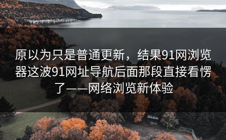 原以为只是普通更新，结果91网浏览器这波91网址导航后面那段直接看愣了——网络浏览新体验